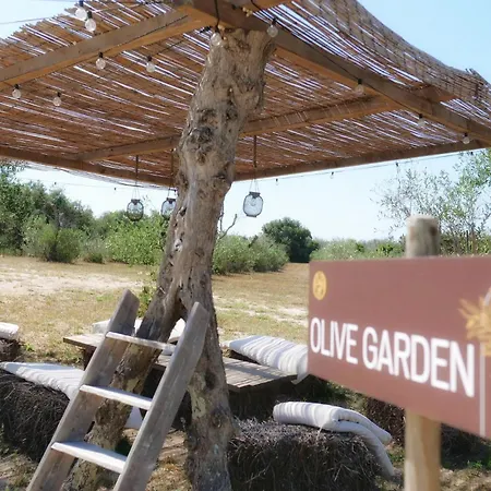 Tenuta Dorolivo Agri Relais Farm stay *